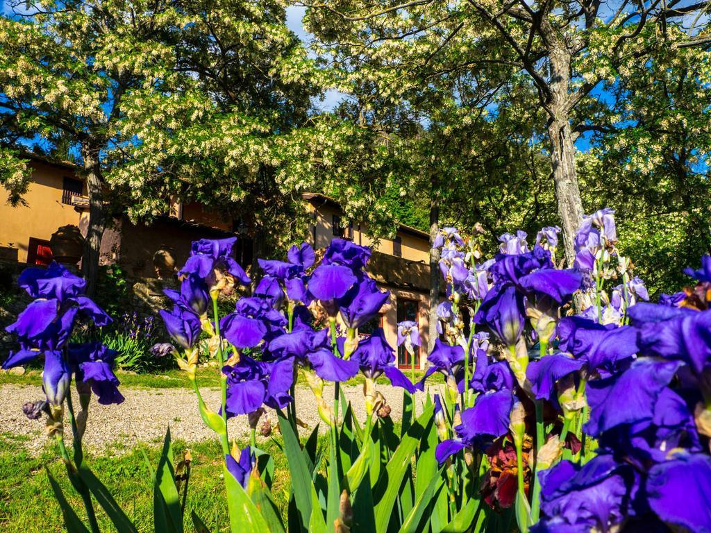 Agriturismo Verde Oliva Bagno a Ripoli Zewnętrze zdjęcie
